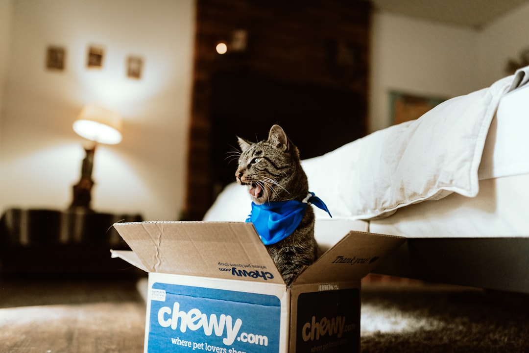 cat food subscription delivery