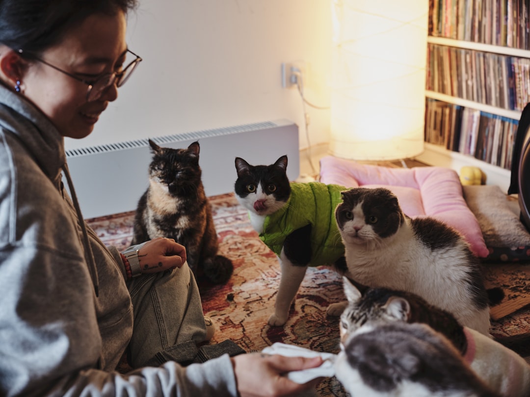 pet camera indoor cat monitoring