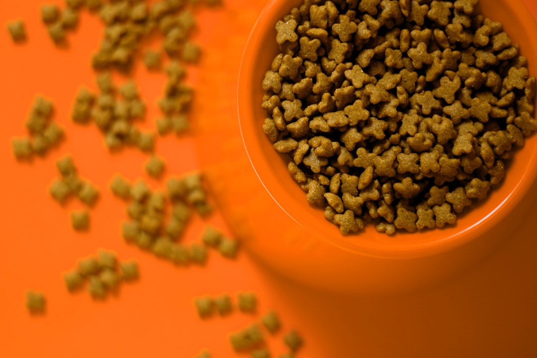 cat food comparison