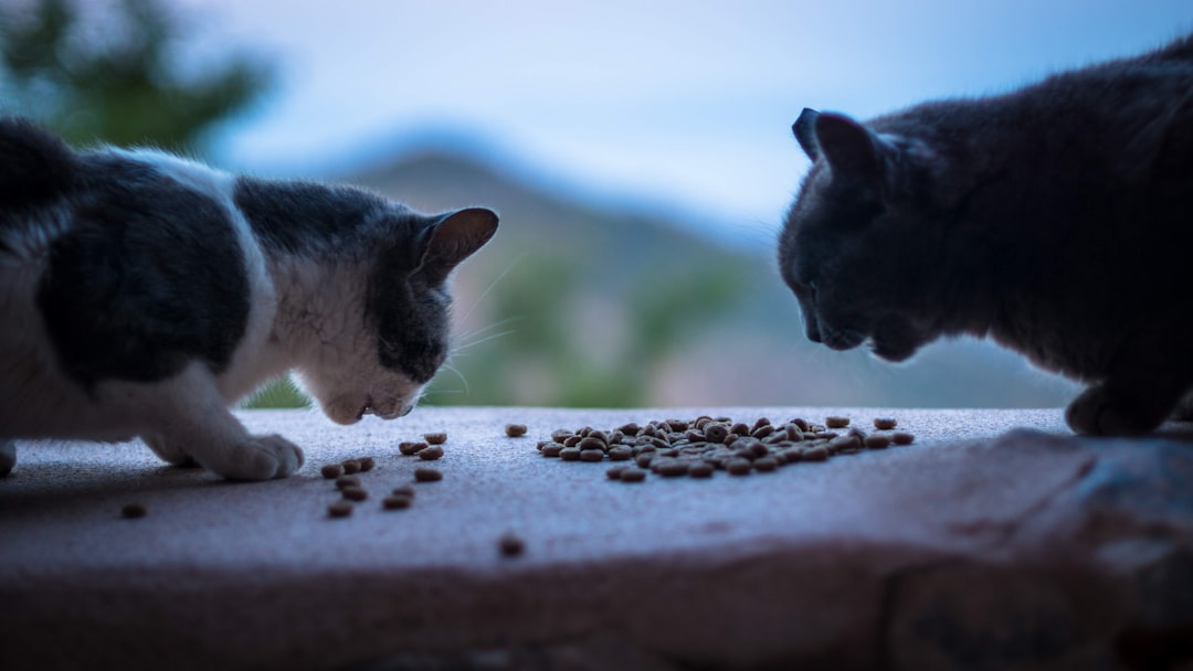 cat food ingredients comparison
