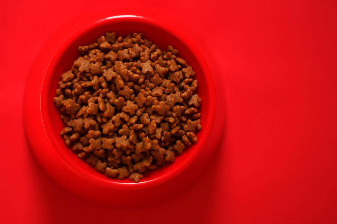 premium cat food brands