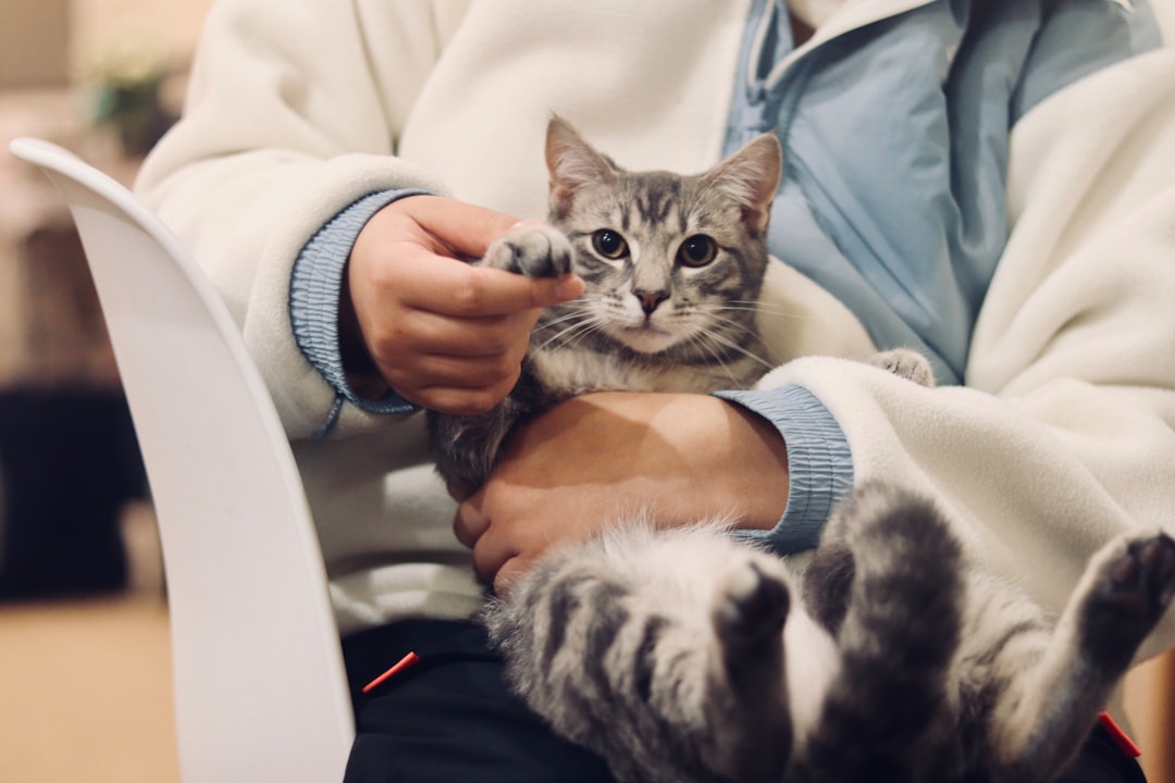 cat owner vet consultation checkup